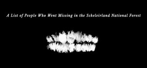 A List Of People Who Went Missing In The Scheleirland National Forest banner