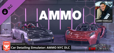 Car Detailing Simulator - AMMO NYC