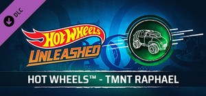 HOT WHEELS™ - TMNT Raphael banner
