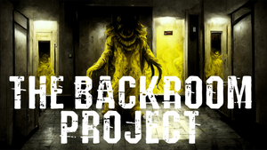 The Backroom Project banner