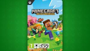 Minecraft Java & Bedrock Edition banner