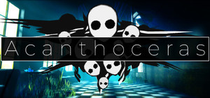 Acanthoceras banner