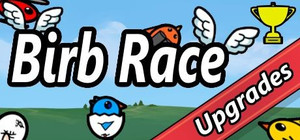 Birb Race banner