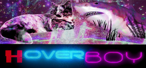 Hoverboy banner