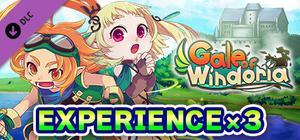 Experience x3 - Gale of Windoria banner