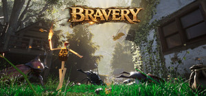 Bravery banner