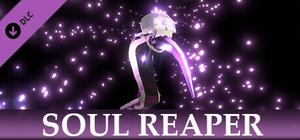 No King No Kingdom - Soul Reaper banner