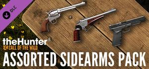 theHunter: Call of the Wild™ - Assorted Sidearms Pack banner