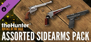 theHunter: Call of the Wild™ - Assorted Sidearms Pack banner