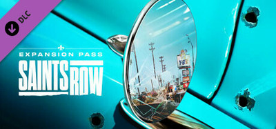 Saints Row Expansion Pass