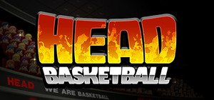 Head Basketball banner