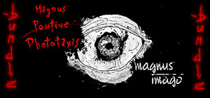 Magnus Diptych Bundle (Magnus Imago + Magnus Positive Phototaxis) banner