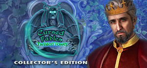 Cursed Fables: Twisted Tower Collector's Edition banner