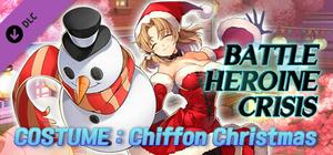 COSTUME : Chiffon Christmas banner