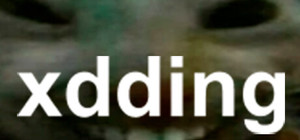 xdding banner