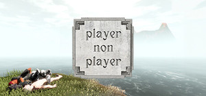 Player Non Player banner