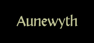 Aunewyth banner