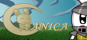 Anica banner