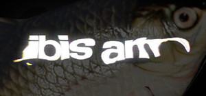 IBIS AM banner