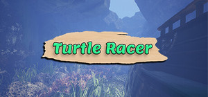 Turtle Racer banner