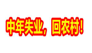 中年失业/回农村礼包 banner