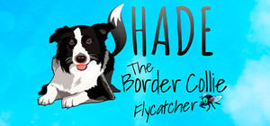 SHADE The Border Collie Flycatcher banner