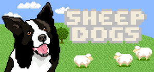 Sheepdogs banner