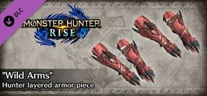 Monster Hunter Rise - "Wild Arms" Hunter layered armor piece banner