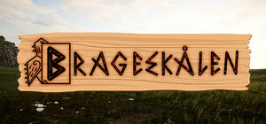 Brageskålen banner