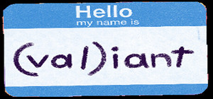 (val)iant: or, val's guide to having a broken vag banner