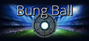Bung Ball banner