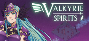 Valkyrie Spirits banner
