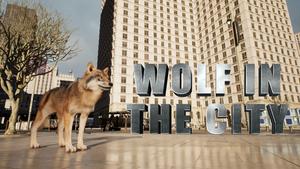 WOLF IN THE CITY banner