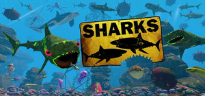 SHARKS banner