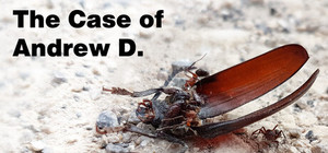 The Case of Andrew D. banner