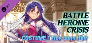 Battle Heroine Crisis COSTUME : Ticy Long Hair banner