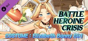 Battle Heroine Crisis COSTUME : Elizabeth Bunny Girl banner