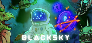 BlackSky banner