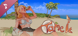 Tame It! Soundtrack banner