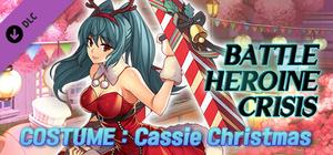 Battle Heroine Crisis COSTUME : Cassie Christmas banner