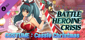Battle Heroine Crisis COSTUME : Cassie Christmas banner