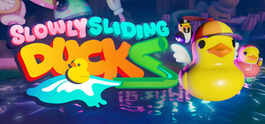 Slowly Sliding Ducks banner
