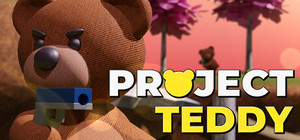 Project Teddy banner