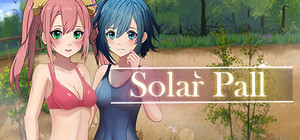 Solar Pall banner