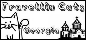 Cats Hidden in Georgia banner