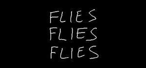 FLIES FLIES FLIES banner