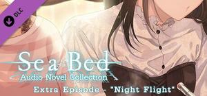 SeaBed Audio Novel Collection - Extra Episode - "Night Flight" banner