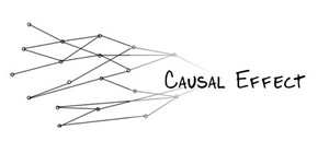 Causal Effect banner