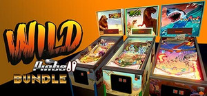 Wild Pinball Bundle banner