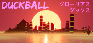 Duckball banner